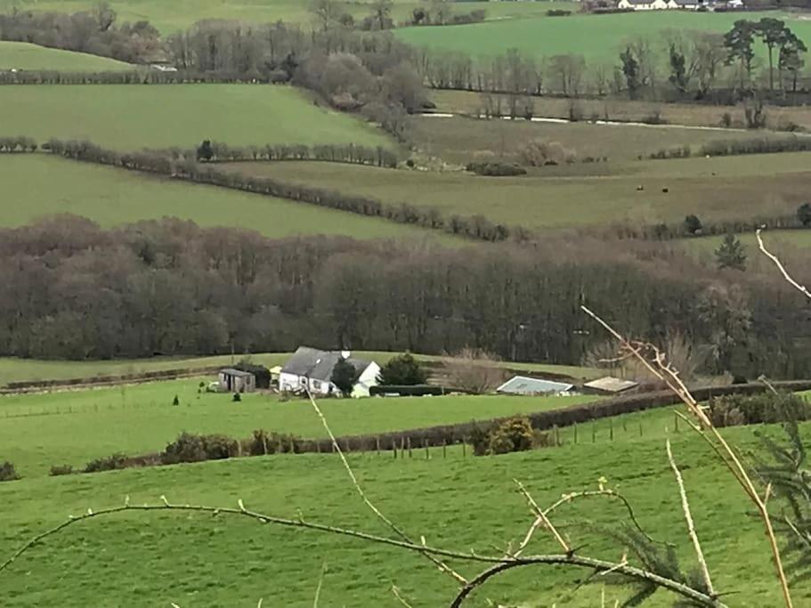 Stunning Shepherds Hut rural bliss Dumfries Exterior foto